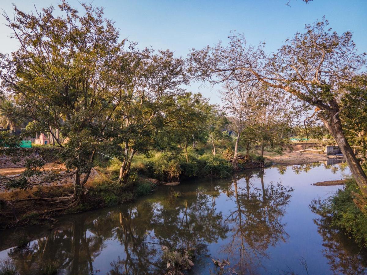 Fortune River Resort Dandeli Zewnętrze zdjęcie