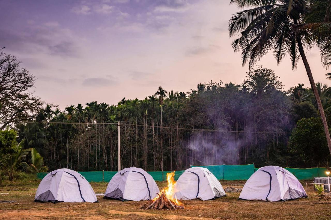Fortune River Resort Dandeli Zewnętrze zdjęcie